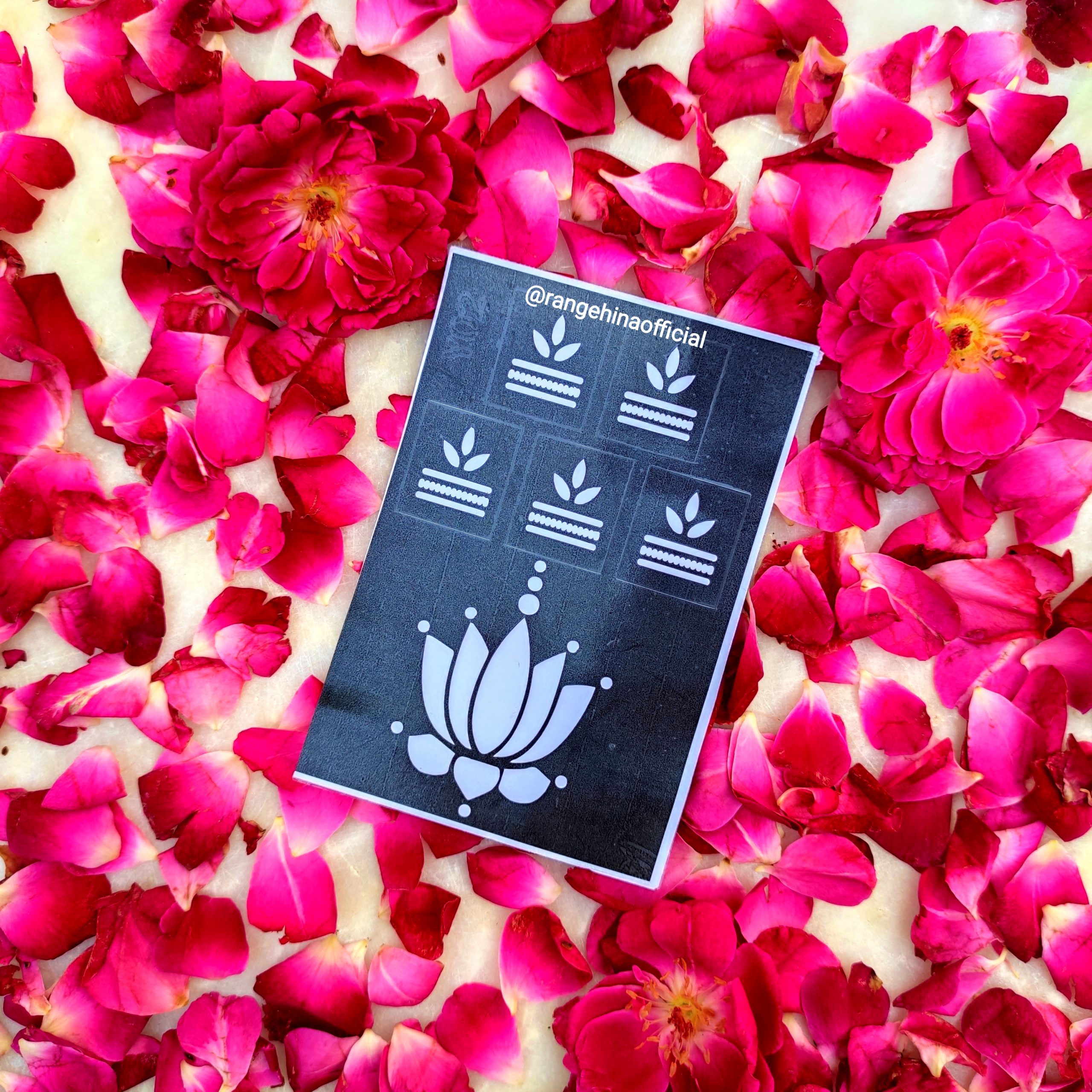 IMG_20220918_195850 IMG 20220918 195850 scaled 1