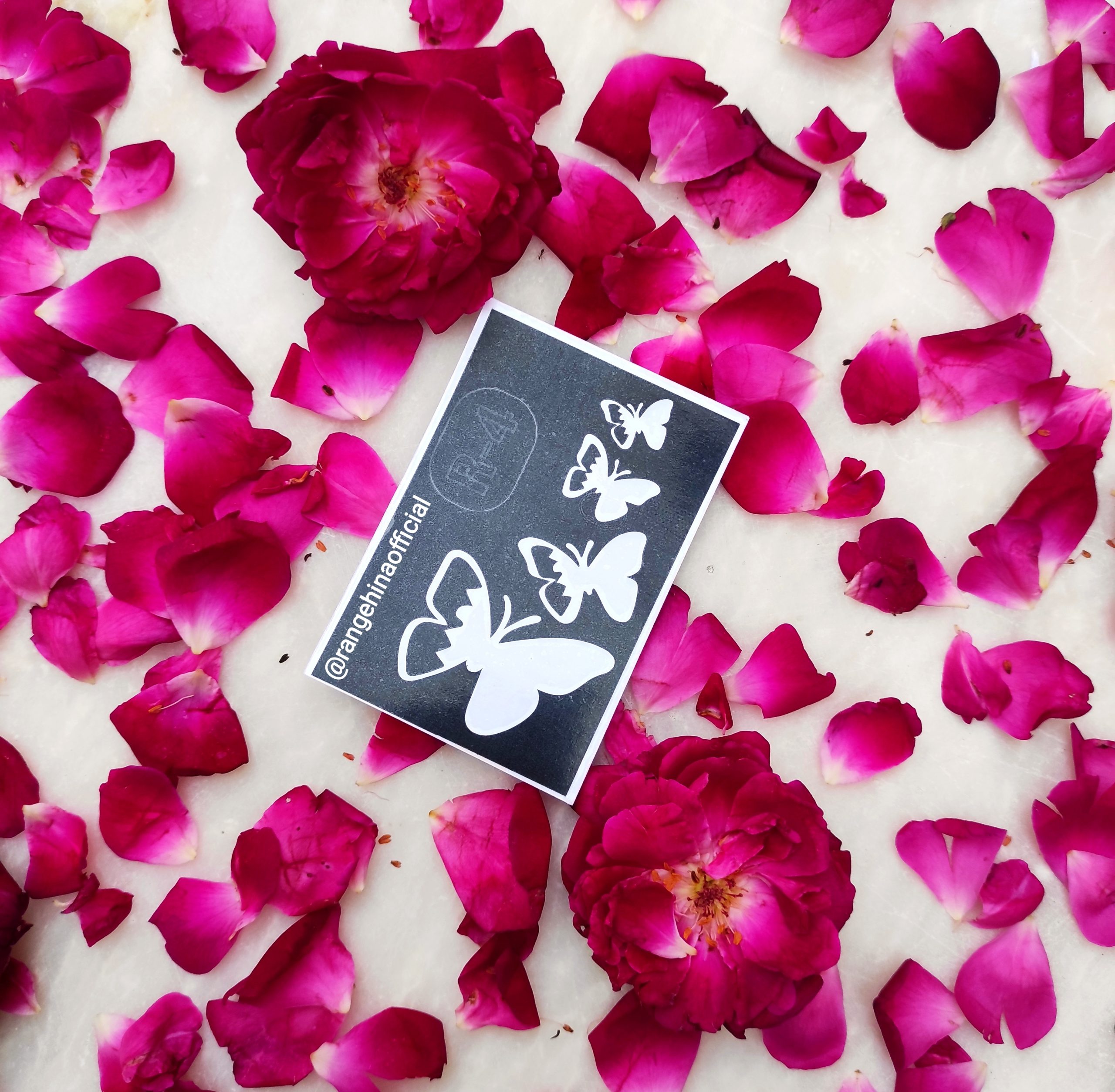 IMG_20230324_201914 IMG 20230324 201914 scaled